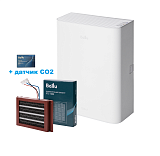 Ballu ONEAIR ASP-100WMAX (+РТС-1000 + СО2)